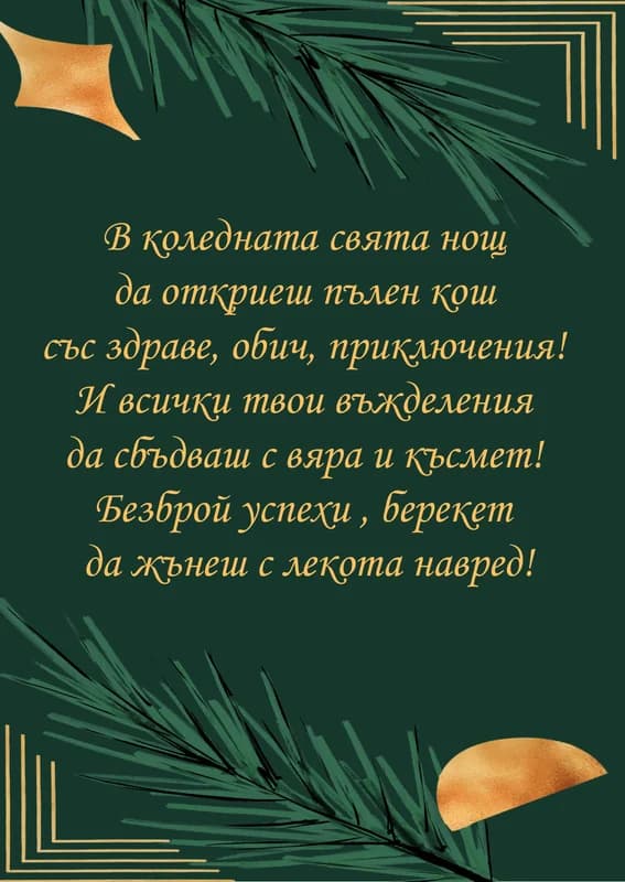 Коледна картичка – За Коледа здраве обич приключения