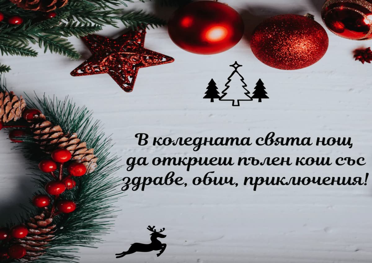 Коледна картичка – В Коледната нощ да откриеш пълен кош