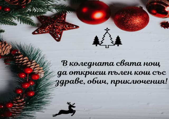 Коледна картичка – В Коледната нощ да откриеш пълен кош