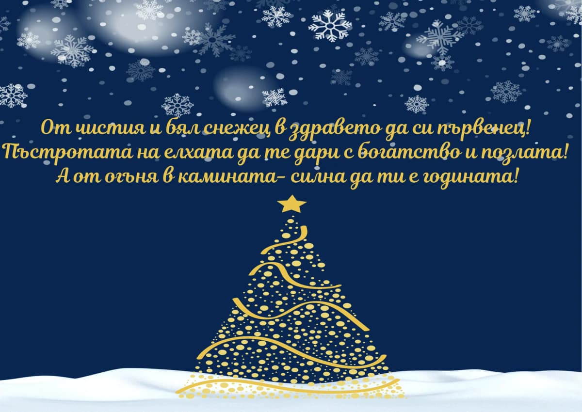 Коледна картичка – Пъстротата на елхата