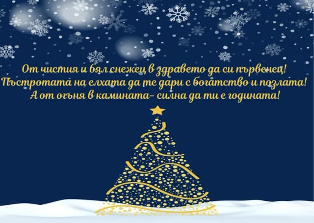 Коледна картичка – Пъстротата на елхата