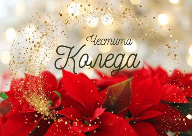Коледна картичка – Коледни цветя